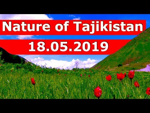 Видео: Nature of Tajikistan / Природа Таджикистана / Табиат