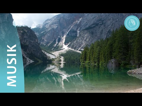 Видео: Звуки природы – прогулка по царству природы под музыку, написанную друзьями  Бруно Грёнинга
