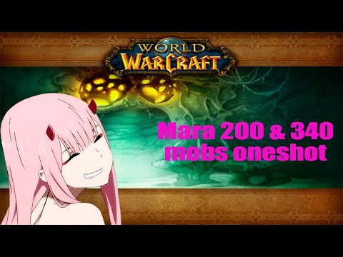 Видео: Фарм марадона одним пулом  / 200 и 340 мобов / Wow classic