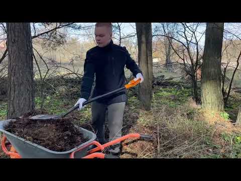 Видео: Становится еще лучше! Так постепенно и сбудется мечта Светланы Журавлевой,ещё и с таким помощником!