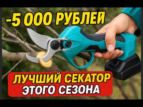 Видео: Лучшие НАРОДНЫЕ АККУМУЛЯТОРНЫЕ секаторы для сада и огорода || НАДЕЖНЫЕ модели секаторов 2025 #diy
