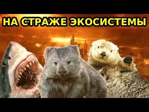 Видео: Ключевые виды, без которых все развалится