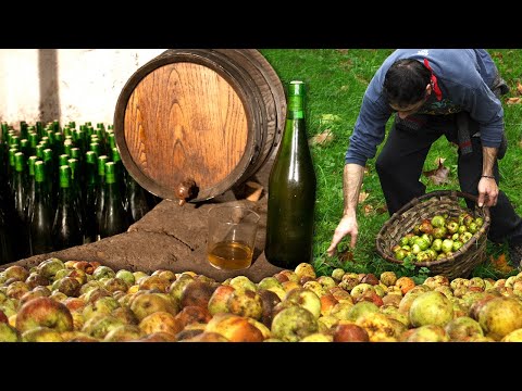 Видео: Крафтовый сидр. Традиционная обработка этого напитка из яблок | Документальный фильм