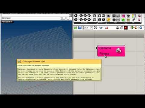 Видео: Урок 12. Галапагос