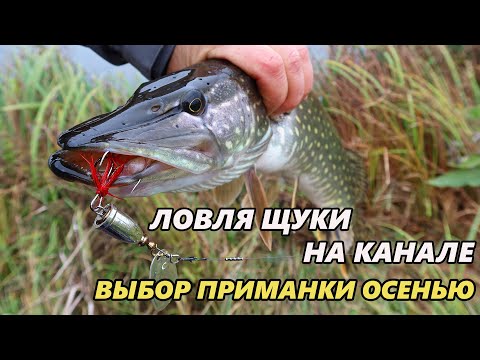 Видео: Приманки для ловли щуки спиннингом на канале осенью