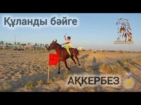 Видео: Бәйге 1 жас Тіл ашар той Құланды ауылы 25.07.2024