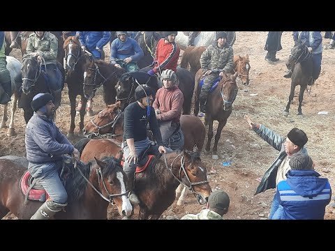 Видео: Бузкаши дар дехаи Могиён кисми 1. 4 02 2024.