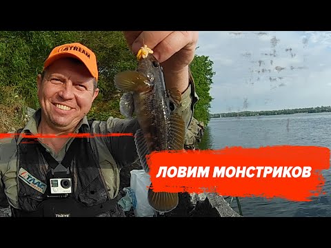 Видео: Бычок. Секреты и особенности ловли.