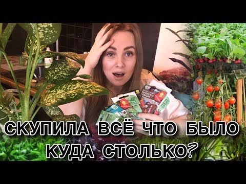 Видео: СКУПИЛА ВСЁ ЧТО БЫЛО.КУДА СТОЛЬКО?ОБЗОР НА СЕМЕНА 2024