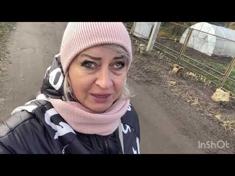 Видео: Vlog/Вот так и живу- одна дома/Мой ноябрь🍁/Жизнь в маленьком городе