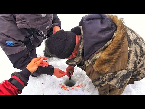 Видео: ЛАПТИ НЕ ЛЕЗУТ В ЛУНКУ! УТОПЛЕННИК НАЙДЕН! ПОСЛЕДНЯЯ РЫБАЛКА зимнего сезона часть 1