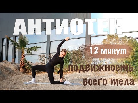 Видео: АНТИОТЁК | лучшая лимфодренажная зарядка для всего тела 🙌🏻