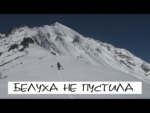 Видео: Белуха не пустила. Алтай.