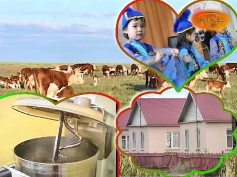 Видео: ТАСКАЛА