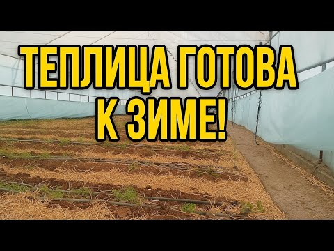 Видео: Обработка теплицы: секрет успешной зимовки #землядел
