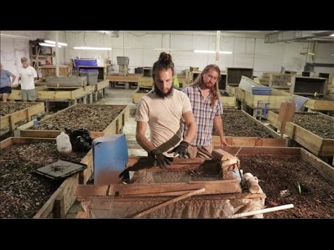Видео: Посетите коммерческую ферму по разведению червей!