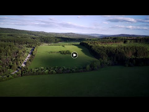 Видео: Усть-Катав - Минка