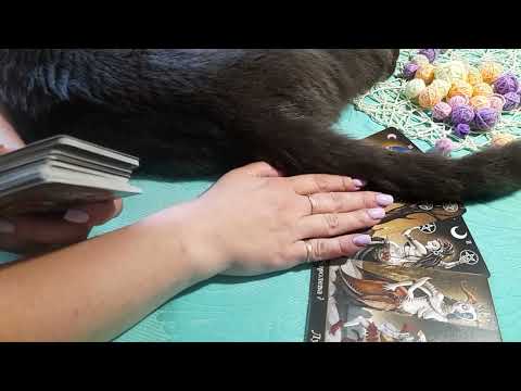 Видео: Принял ли он решение? Какое оно?