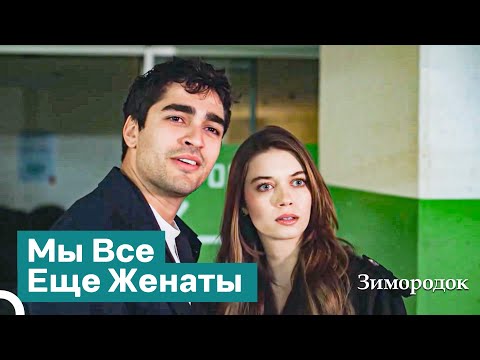 Видео: Теперь Быть Вместе Невозможно! | Зимородок