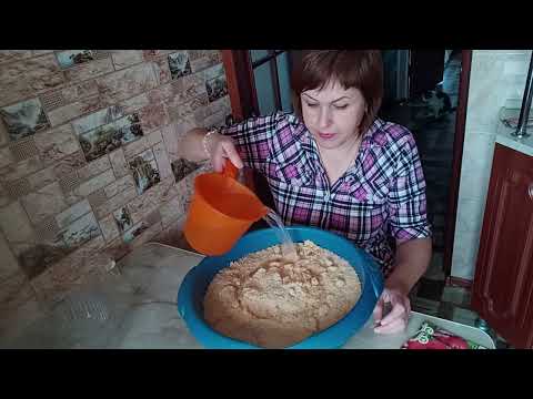 Видео: Посев семян в горячие опилки- всхожесть гарантирована! На ужин что-нибудь из фарша.