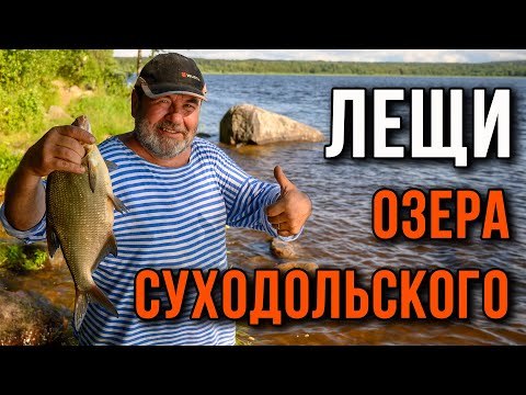 Видео: Лещи озера Суходольского.