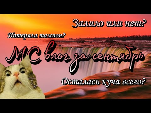 Видео: МС влог за сентябрь 2022