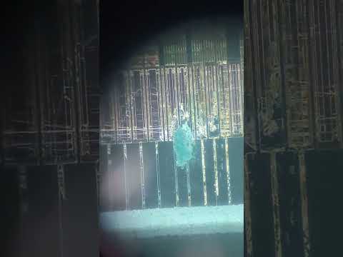 Видео: Замыкание в матрице, нет Изображения, зашпаклевал дырку  #ремонт