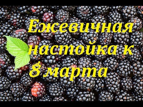 Видео: Ежевичная Настойка. К празднику 8 Марта.