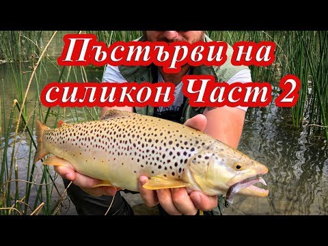 Видео: Тайната за улов на подозрителни пъстърви със силикон. Част 2. Риболов на пъстърва със силикон