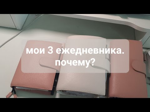 Видео: как я использую 3 ежедневника? my planner