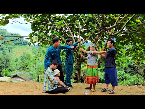 Видео: Решительность полицейского Алекса помогла сыну Тиу Ка пойти в школу.