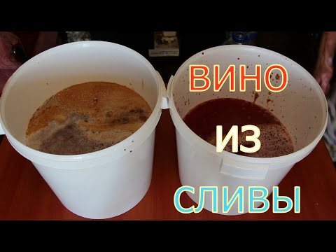 Видео: Домашнее вино из сливы - простой рецепт приготовления. Часть 1