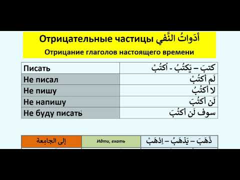 Видео: Арабский язык с носителем - 27 (1) - Отрицательные частицы أدَواتُ النَّفـي - لَم - لا - لَن