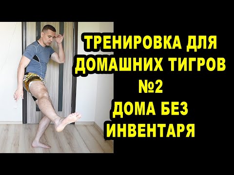Видео: Тренировка Для Диванных Тигров №2 - Дома Без Инвентаря - Подготовка к Сборам в Турции