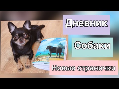Видео: Дневник собаки🐶 Пересъёмка + новые странички + отзывы на товары
