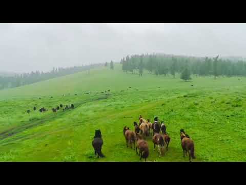Видео: Монгол орноороо жижигхэн тойрог хийлээ.       /Small Circle of Mongolia