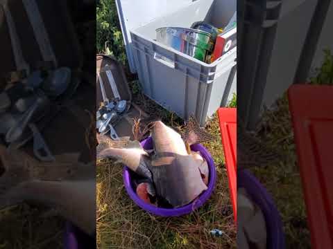 Видео: Терский берег Белого моря. Никодимский маяк.