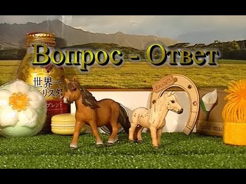 Видео: Вопрос Ответ №5   (лошади Schleich (шляйх))