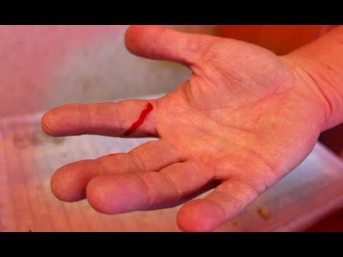 Видео: Песчанка сбежала и укусила! Уборка у песчанок.