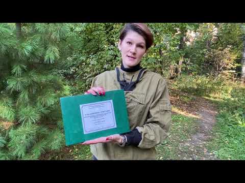 Видео: Таксация лесов