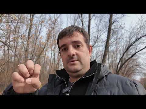 Видео: Почему люди массово разводятся и кто в этом виноват. 