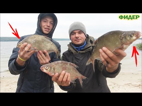 Видео: Семь кил леща. Почему не было ухи? С ночёвкой осенью на фидер.