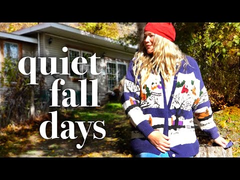 Видео: Последние дни октября // тихие дни на даче, благотворительность Goodwill, + осенние прогулки