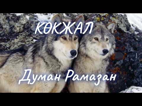 Видео: Көкжал Думан Рамазан оқыған: Жадыра Жақсыкелдіқызы аудиокітап