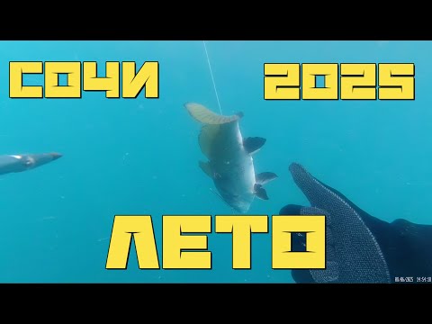 Видео: Подводная охота в Черном море. Сочи Лазаревский район ЛЕТО 2025