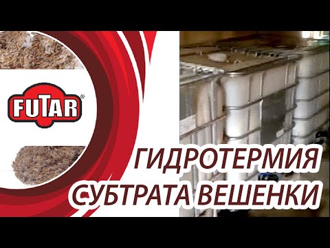 Видео: Гидротермия - технология подготовки субстрата вешенки из шелухи и соломы.
