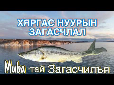 Видео: ХЯРГАС НУУР🌊-ын ЗАГАСЧЛАЛ🎣 Увс аймаг; Muba-тай Загасчилъя🎣🔥 /Khyargas lake fishing/