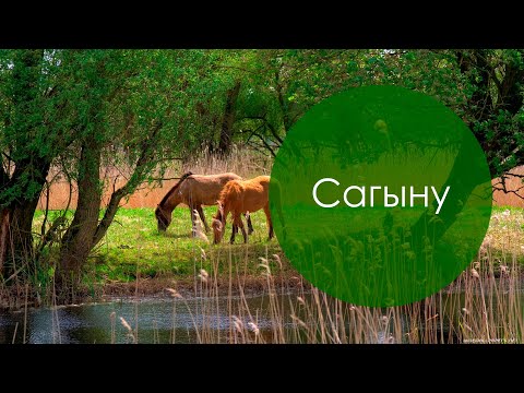 Видео: Сагыну. Татар халык жыры. Жырнын сузлэре видео астында.