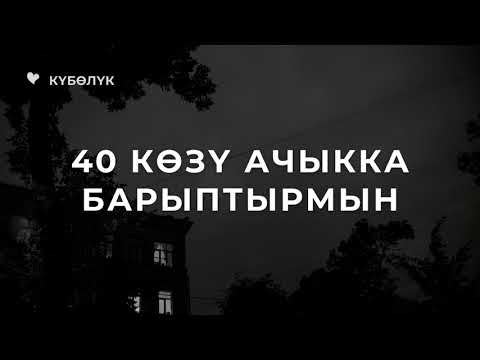 Видео: 40 көзү ачыкка барыптырмын