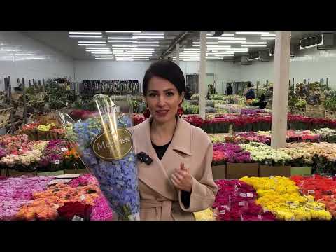 Видео: Необычные цветы в магазине: мечта флориста или провал продаж?